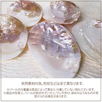 Amazon｜パワーストーン 浄化 浄化皿 浄化用 イケチョウ貝